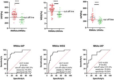 Different Hemodynamic Characteristics and Resulting in Different Risks of Rupture Between Wide-Neck and Narrow-Neck Aneurysms